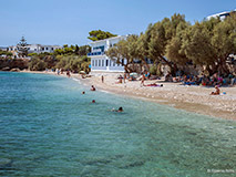 Paros Dryos
